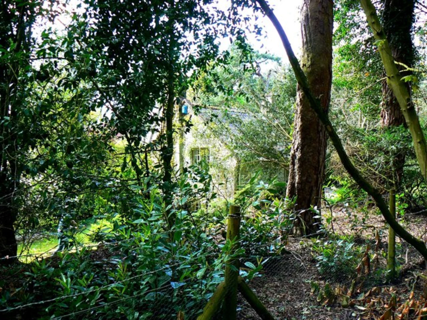 An image depicting the trail Badbury Camp, Coxwell Wood and D'Arcy Dalton Way and its surrounding area.