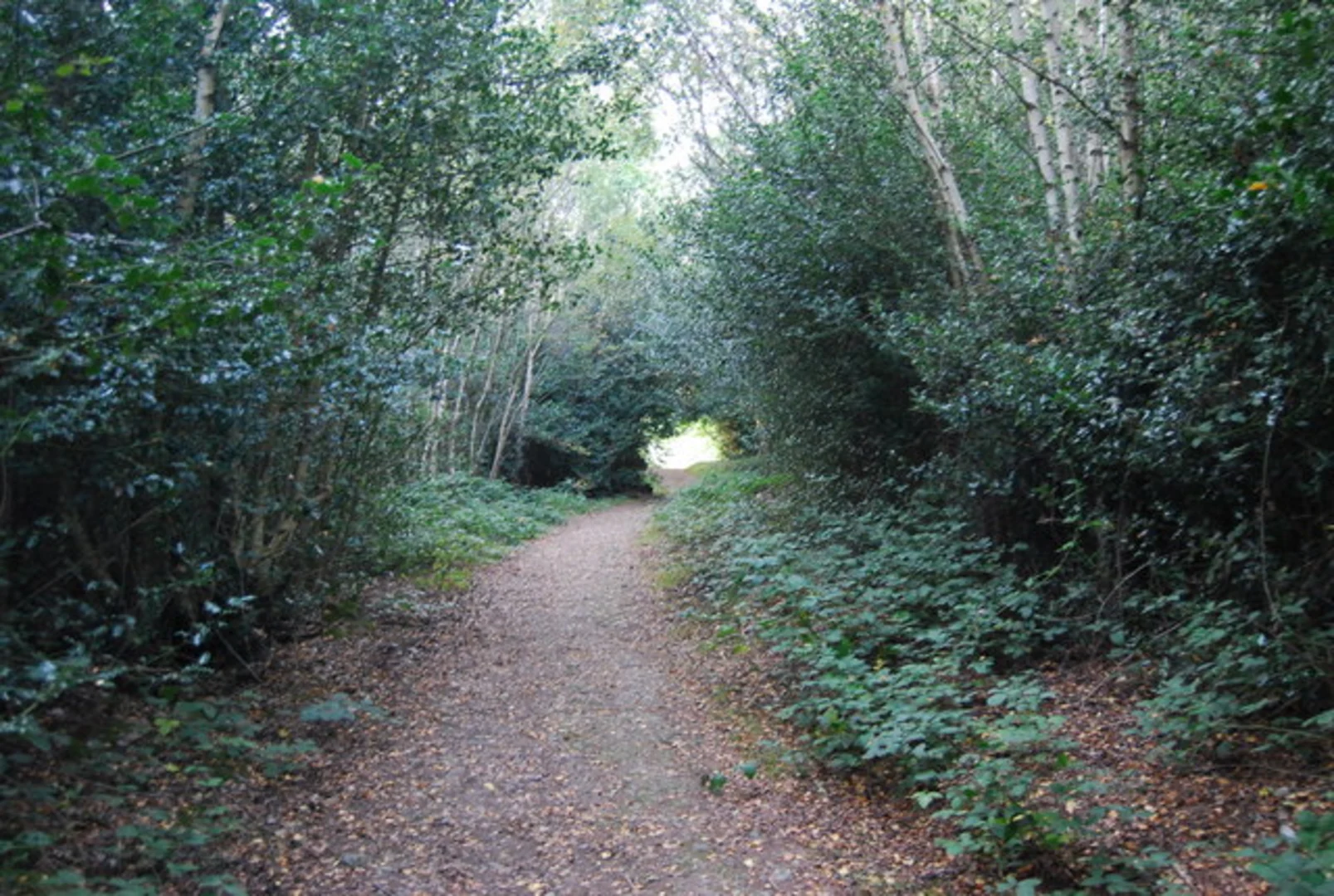 An image depicting the trail Westerham to French Street Loop via Weardale Manor and its surrounding area.