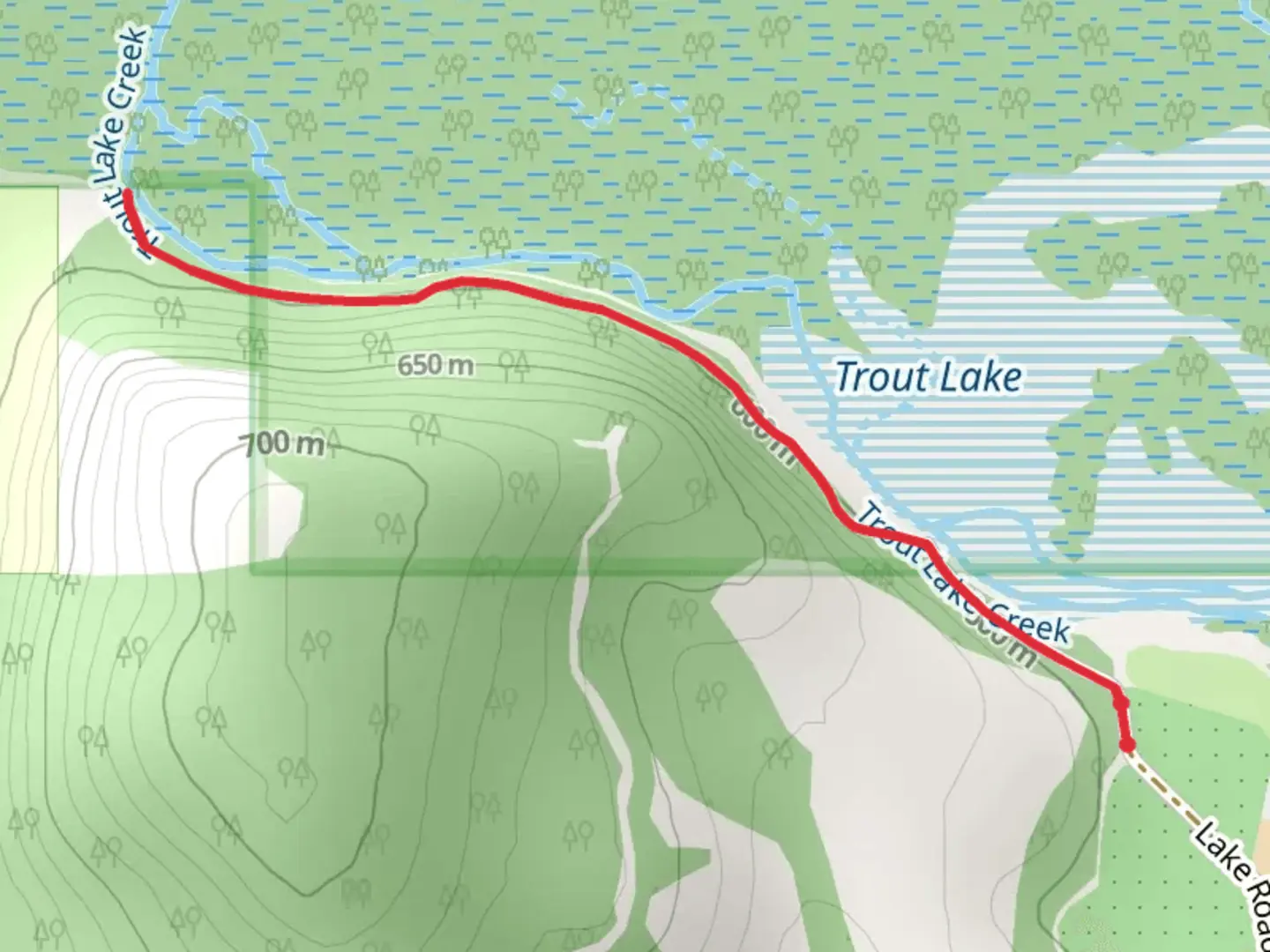 An image depicting the trail Trout Lake Creek Walk and its surrounding area.