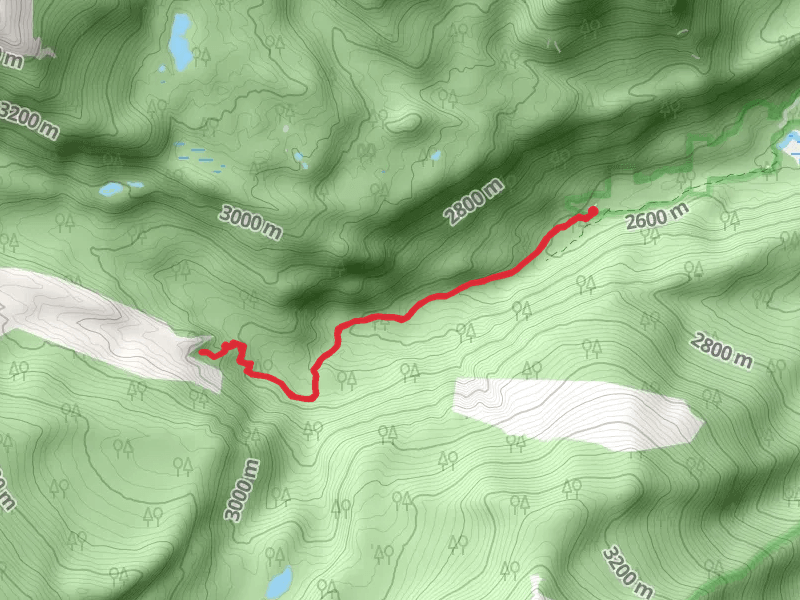 Wild Basin Trail from County Highway 115