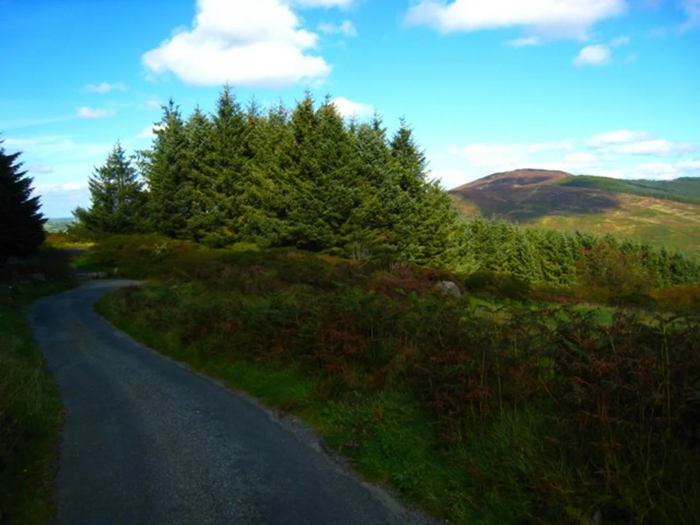 An image depicting the trail Ballard Waterfall Trail and its surrounding area.