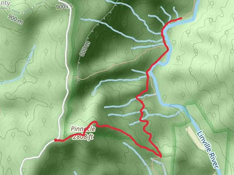 Pinnacle and Linville Gorge Trail