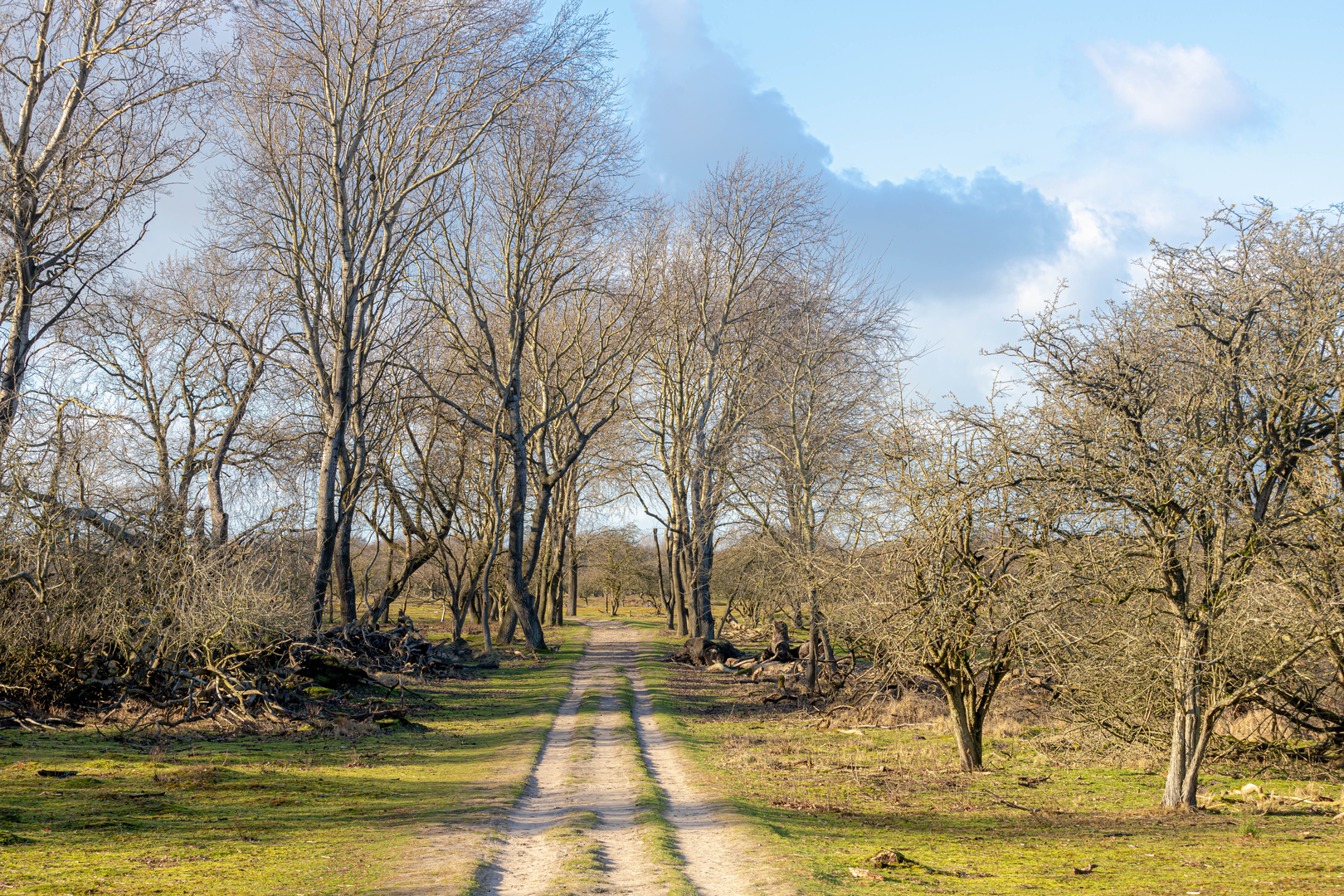 An image depicting the trail Wellenseind to Bladel via De Flaes and Het Goor and its surrounding area.