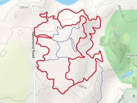 East, Indoor and Central Connector Loop