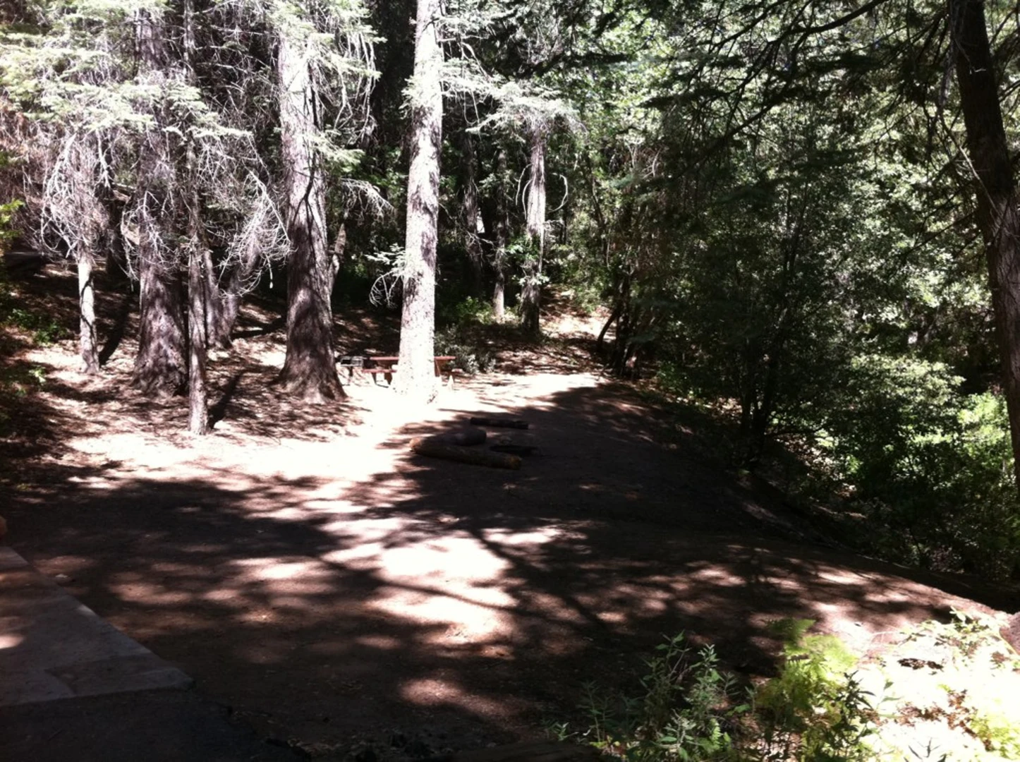 An image depicting the trail Fry Creek Trail and its surrounding area.