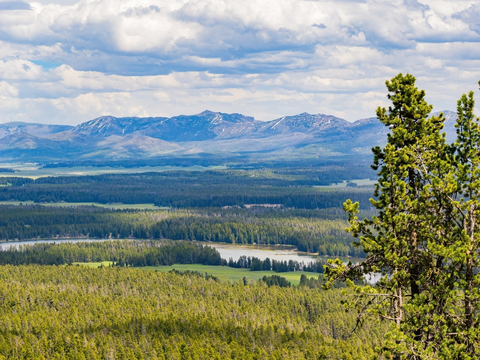 An image depicting the trail Elephant Back Mountain Trail and its surrounding area.