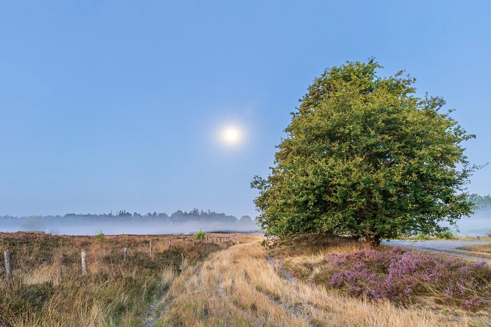 An image depicting the trail Am Heerweg and Sorgwohld Loop and its surrounding area.