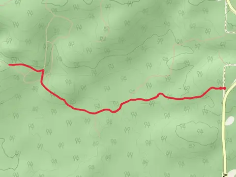 Blue Hills Felsenmeer Trail