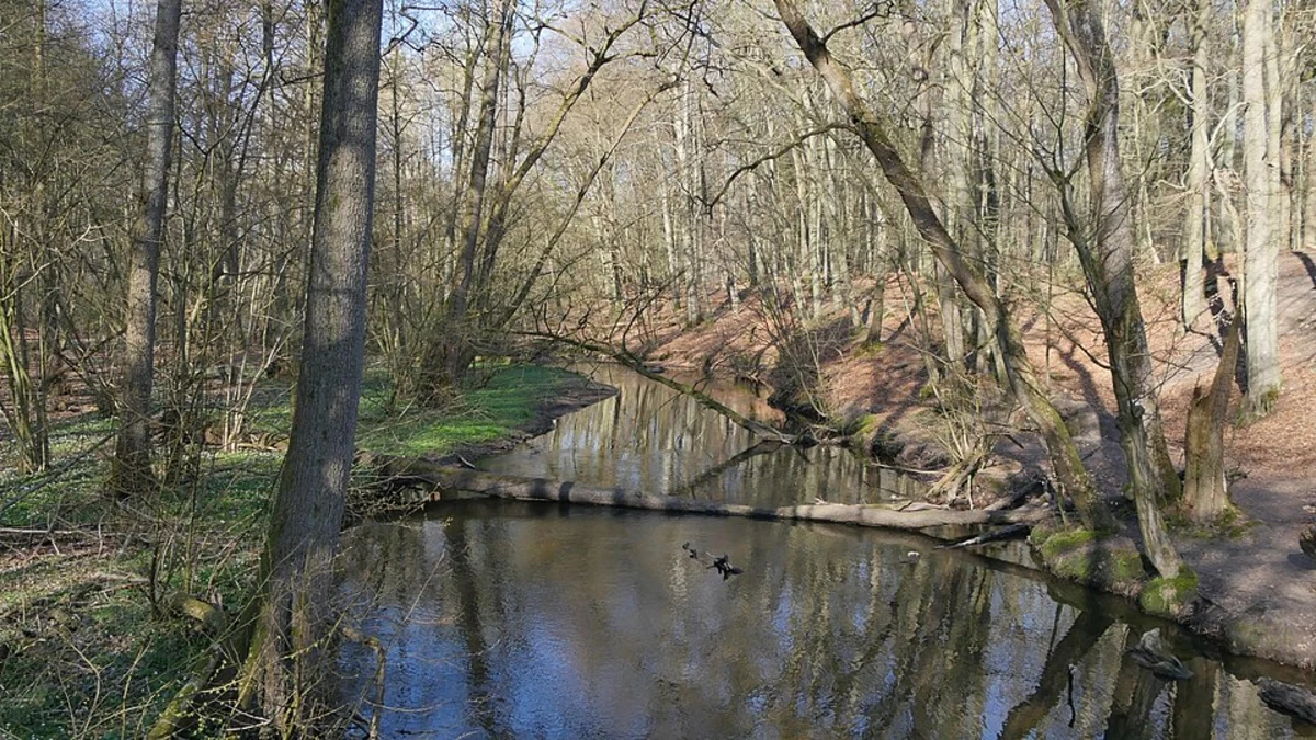 Sachsenwaldau Loop via Aumühle - Großensee and Mühlenbek