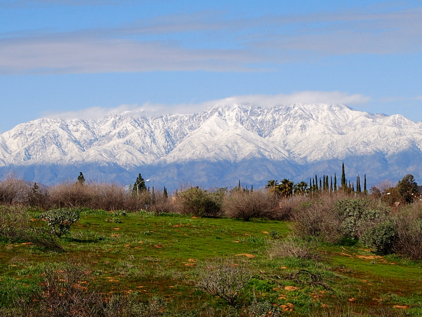An image depicting the trail Thompson Creek and E Pomello Loop Trail and its surrounding area.