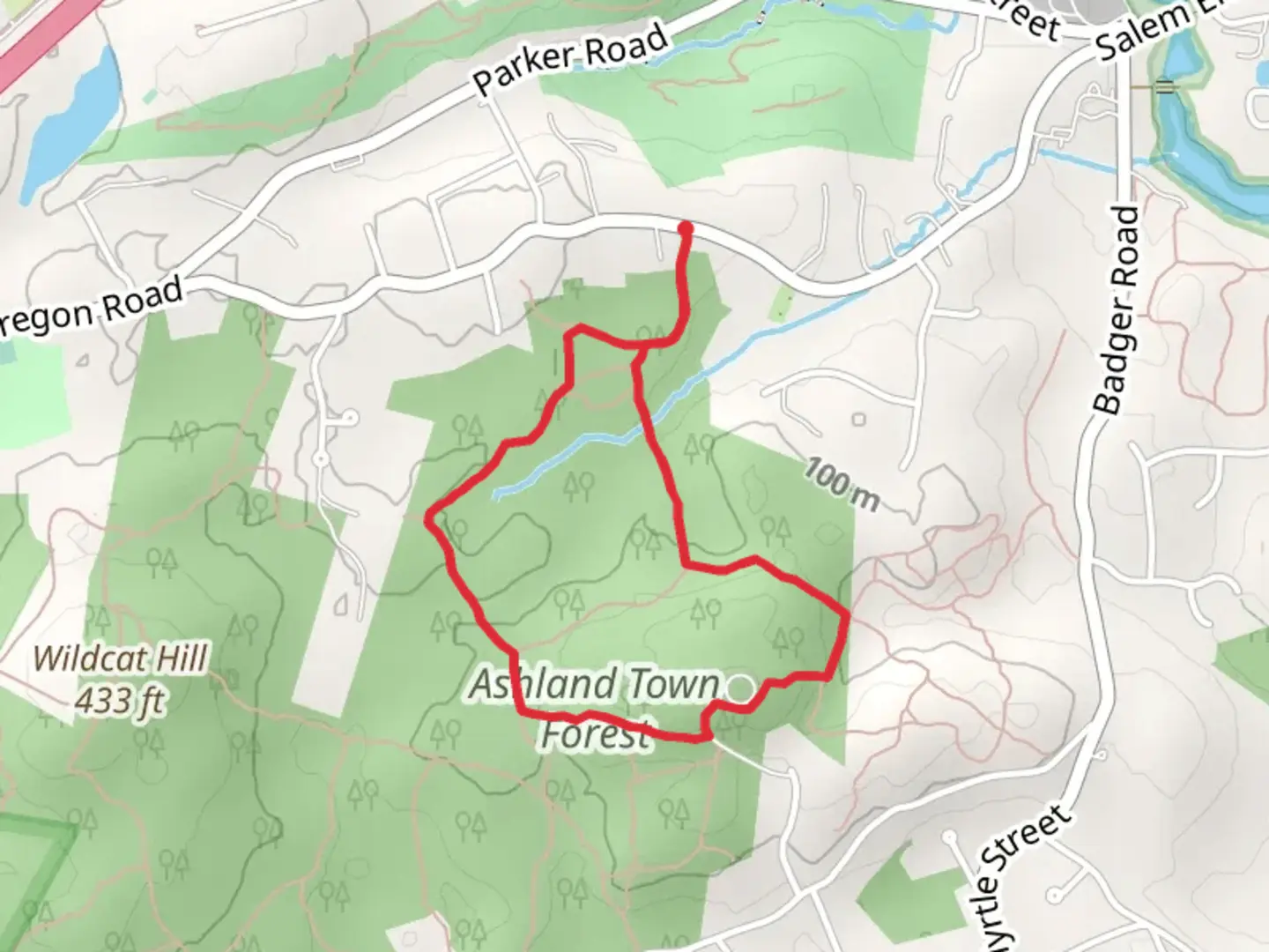 An image depicting the trail Ashland Town Forest Loop and its surrounding area.