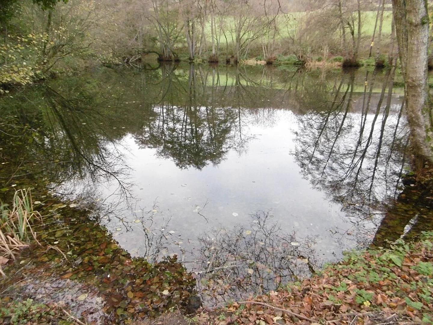 An image depicting the trail Gover Hill and Peckham Hurst Loop and its surrounding area.