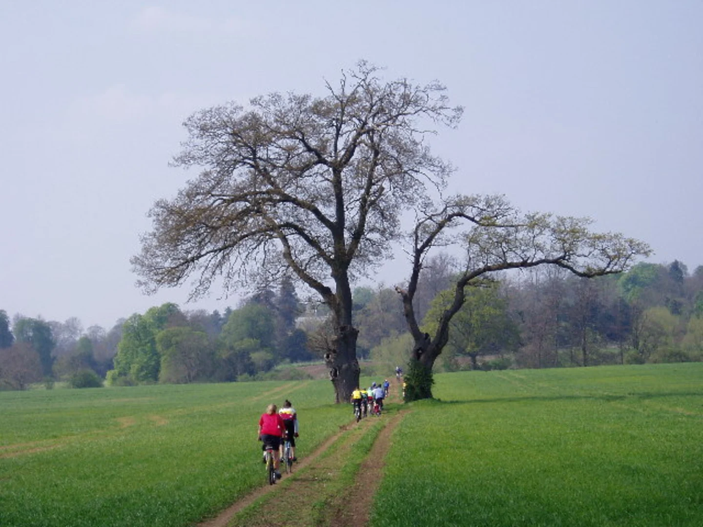 An image depicting the trail Alderminster to Shipston-on-Stour Walk and its surrounding area.