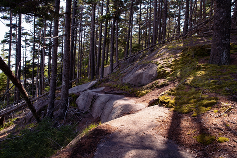 An image depicting the trail Mansell Mountain, Knight Nubble and Bernard Mountain Loop via Great Notch Trail and its surrounding area.