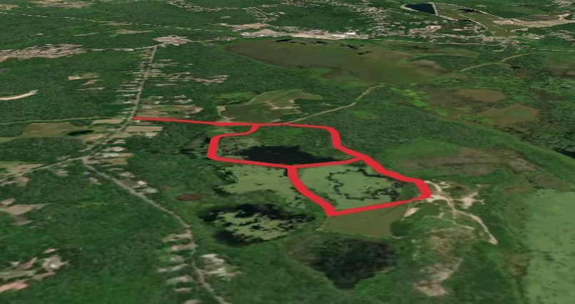 Burrage Pond Wildlife Management Area Loop