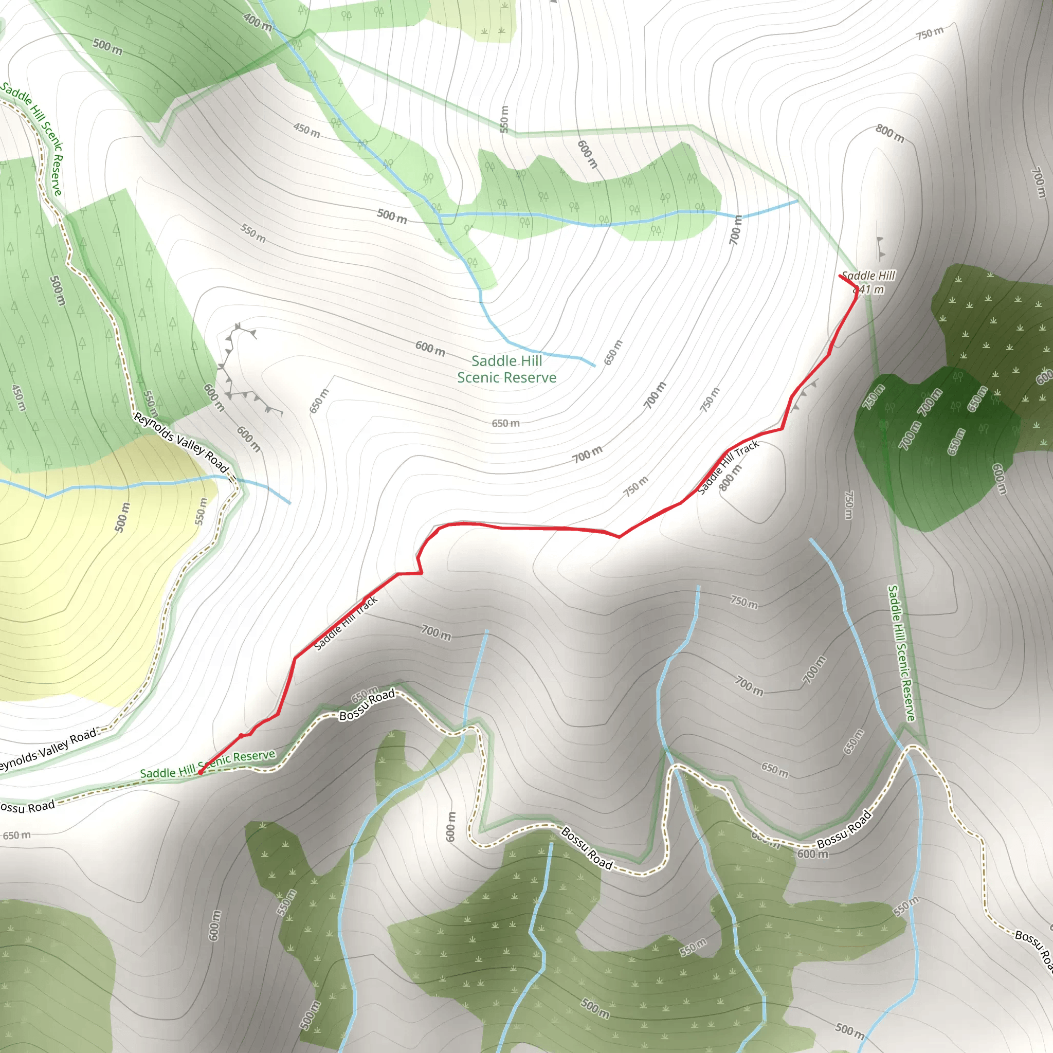 Saddle Hill Summit Track mobile static map