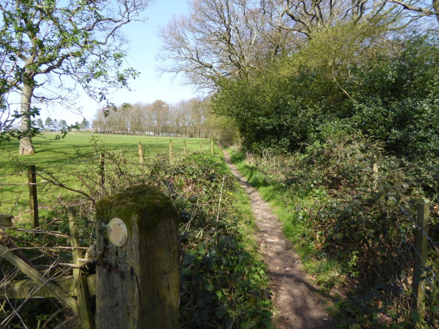 An image depicting the trail Alton to Hawkley Walk and its surrounding area.