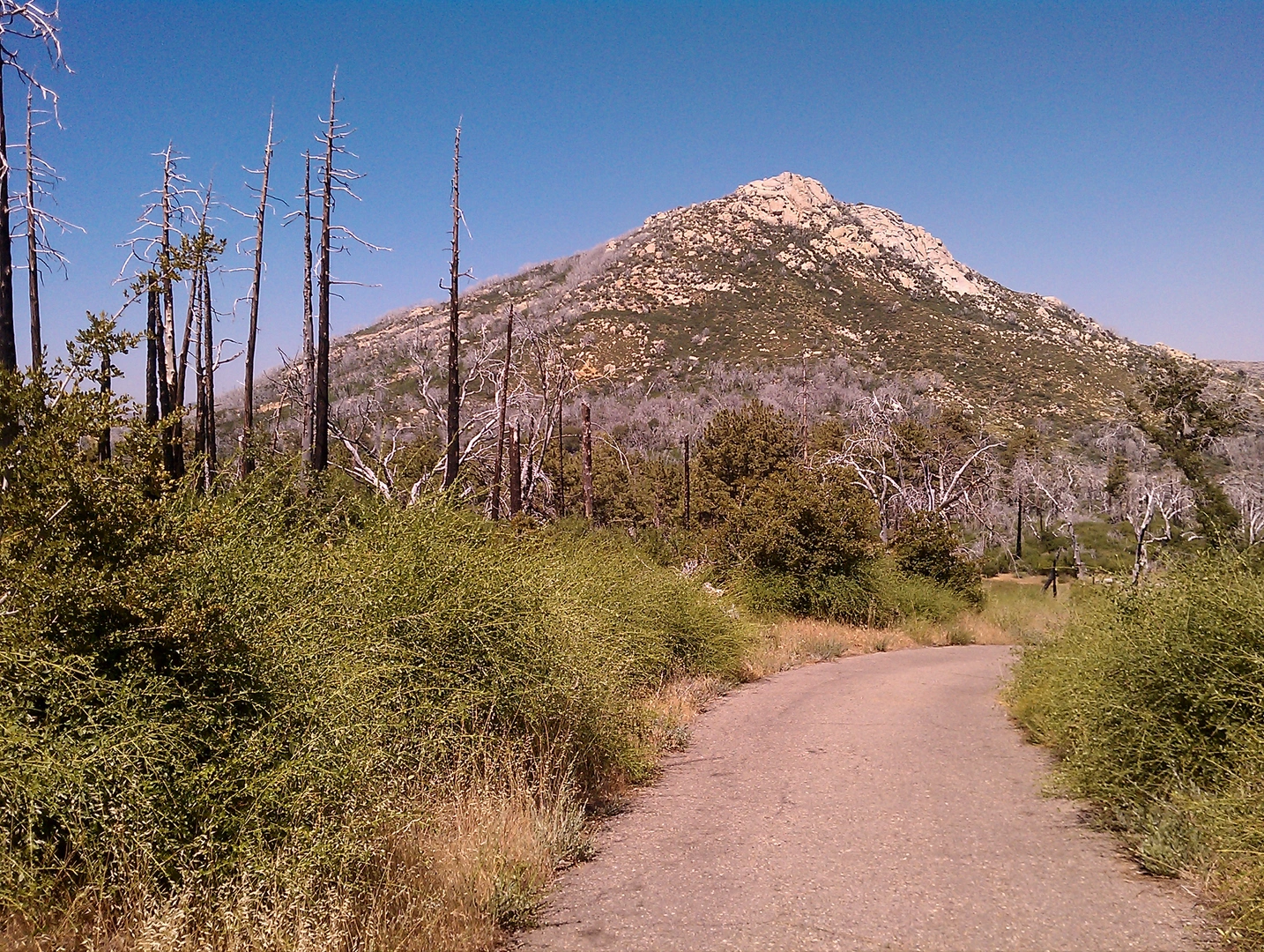 An image depicting the trail Japacha Peak and Cuyamaca Peak via Lookout Road and Fern Flat Fire Road and its surrounding area.