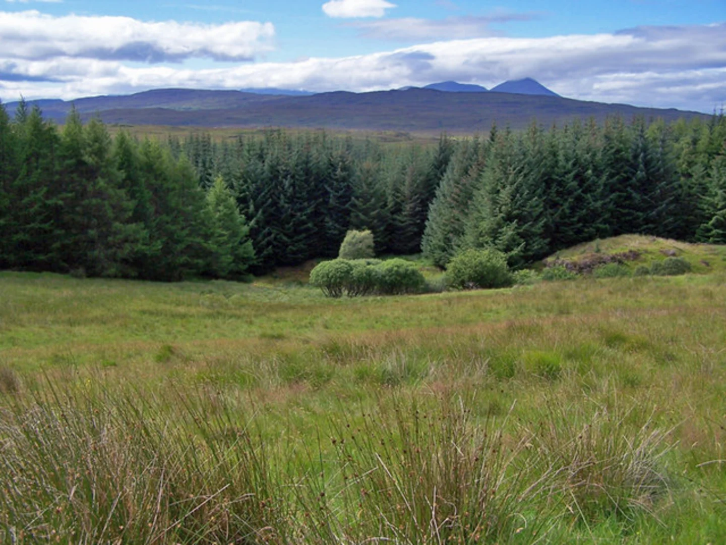 An image depicting the trail Leitir Fura Trail - Kinloch Forest and its surrounding area.