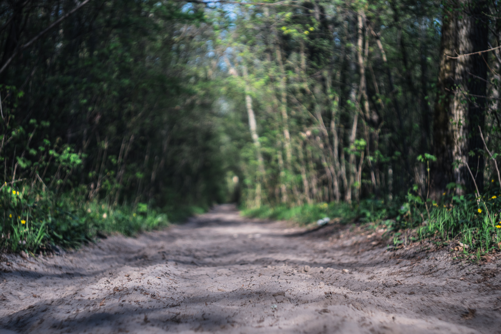 An image depicting the trail Weg tot de Wetenschap, Voorveldse Pad and Vuursche Pad Loop and its surrounding area.