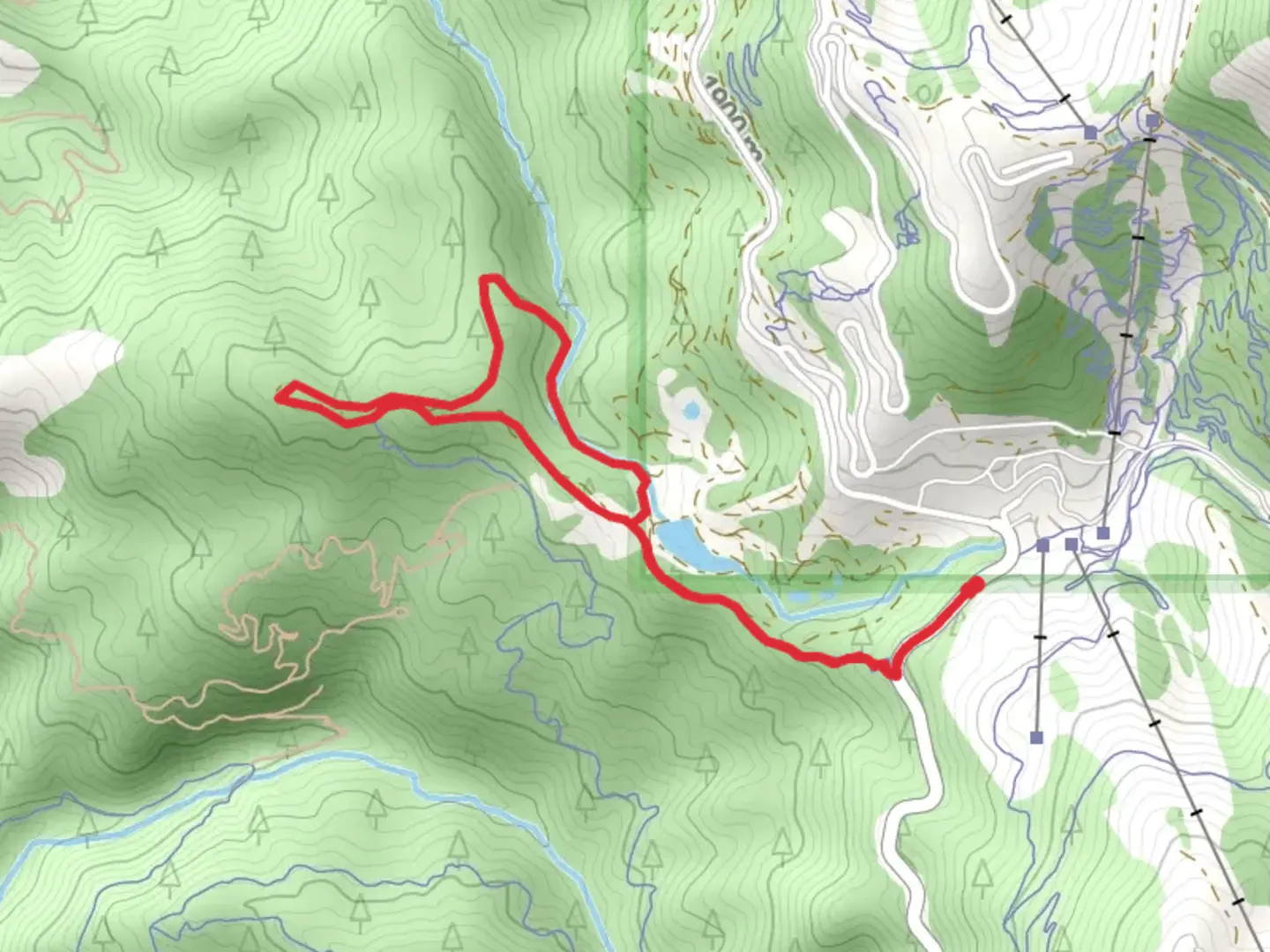 An image depicting the trail North Bogus Basin Road Loop Walk and its surrounding area.