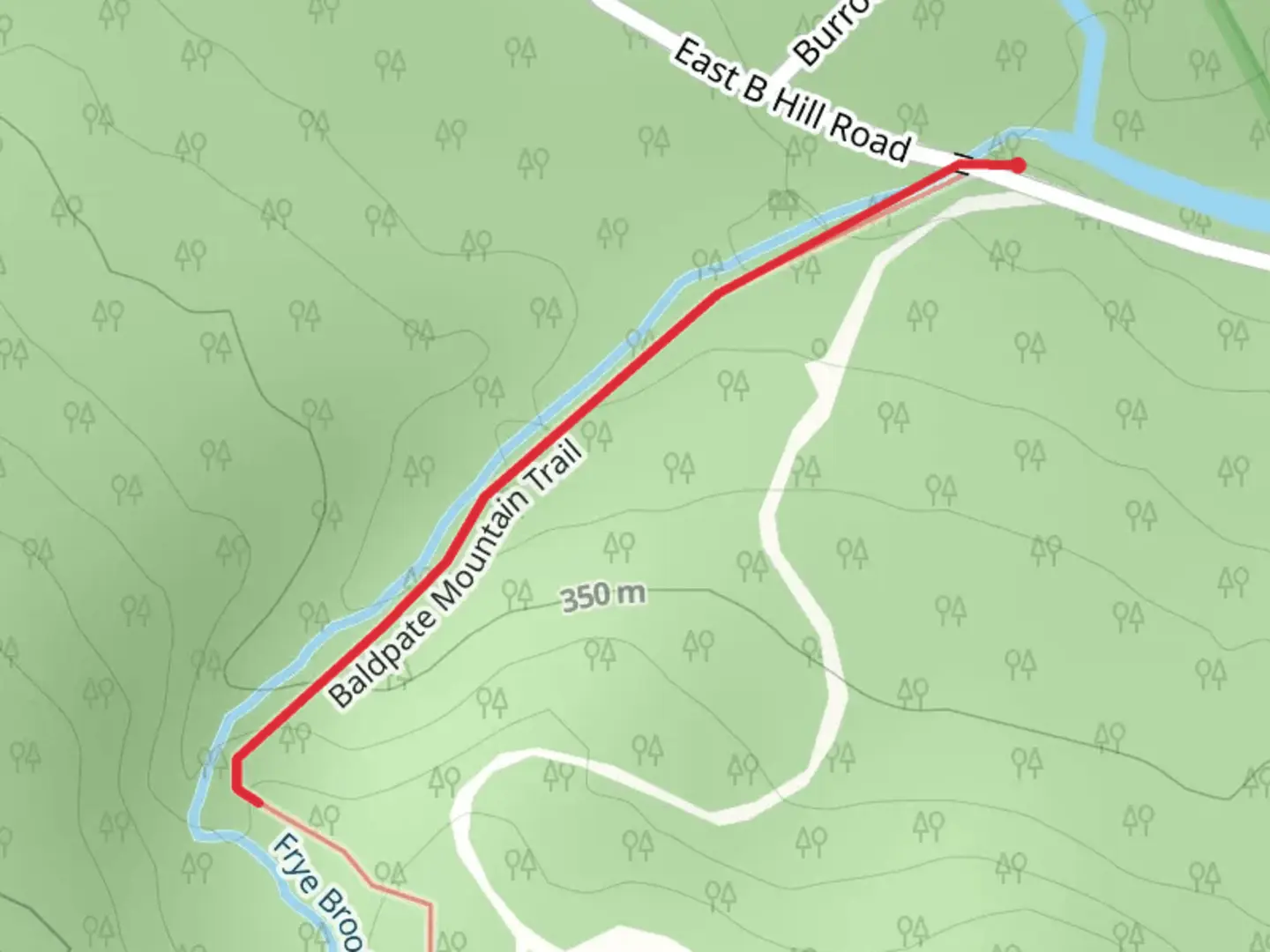 An image depicting the trail Frye Brook and its surrounding area.
