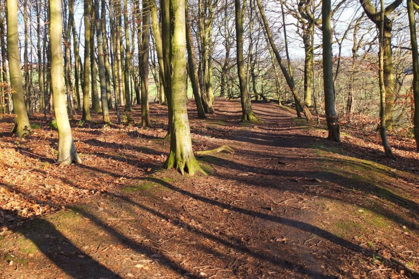 An image depicting the trail Durham Circular Walk and its surrounding area.