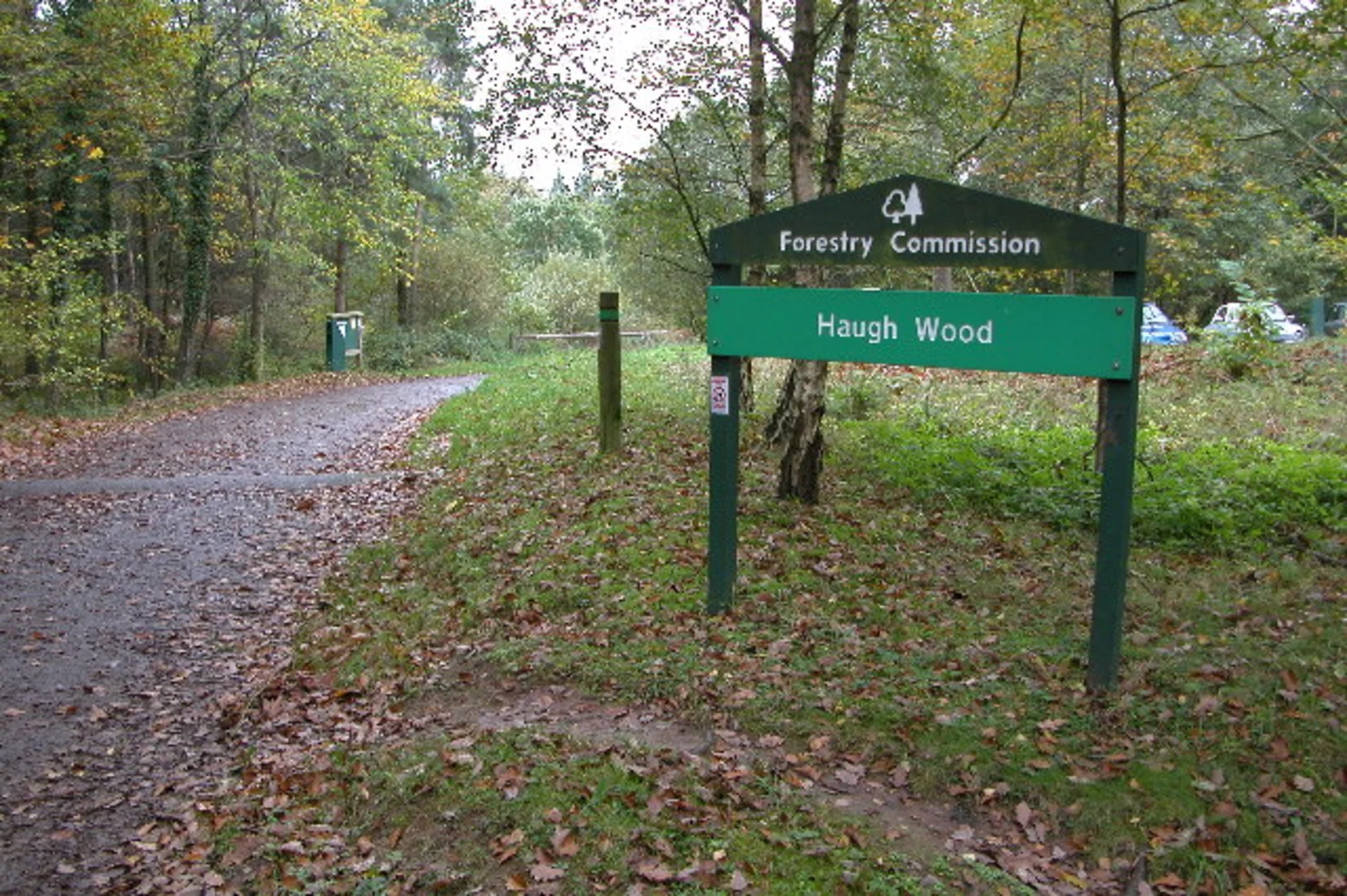 An image depicting the trail Haugh Wood and Limburies Wood Loop and its surrounding area.