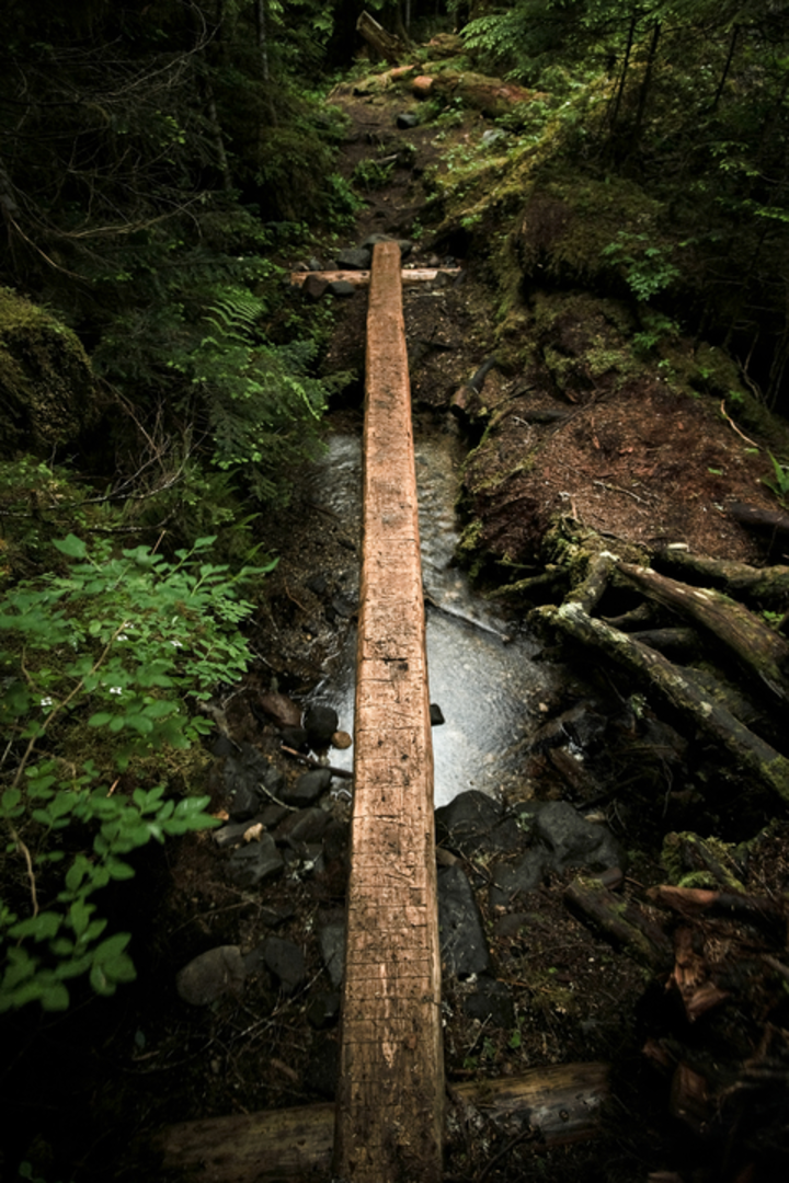 An image depicting the trail Ridley Creek Trail and its surrounding area.
