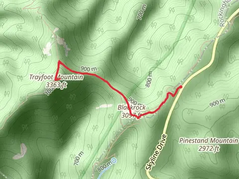 Trayfoot Mountain via Blackrock Hut Fire Road