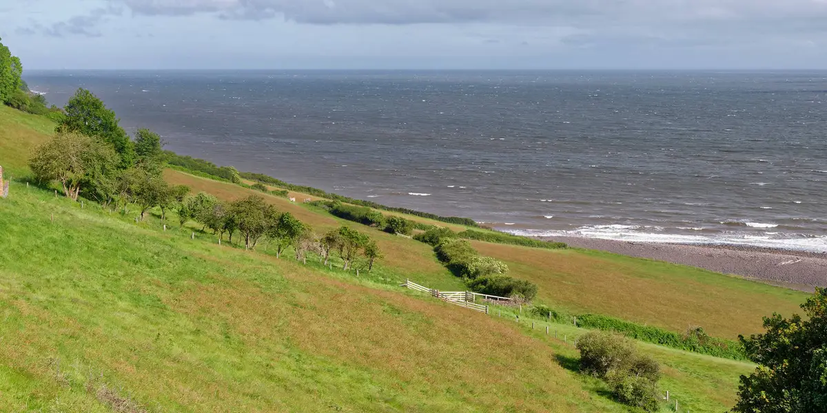 Greenaleigh Farm Walk