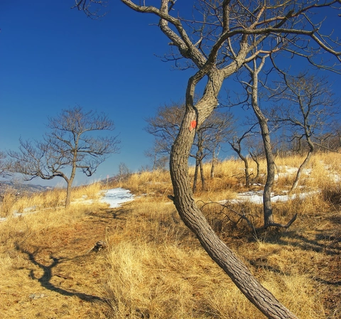 Bake Oven Knob Loop Trail