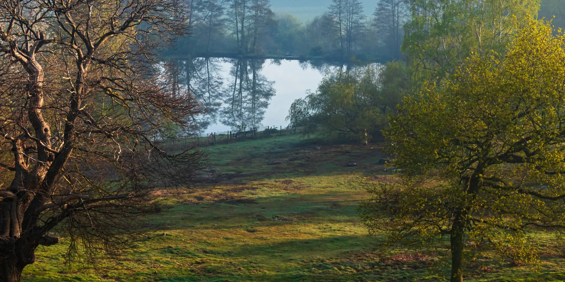 An image depicting the trail Greensand Ridge Walk and its surrounding area.