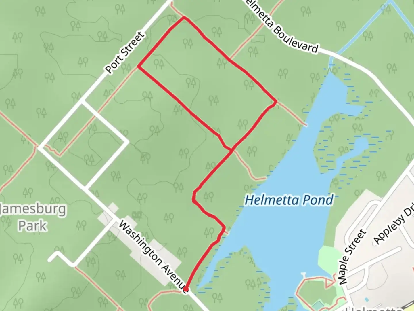 An image depicting the trail Gray Loop Trail and its surrounding area.