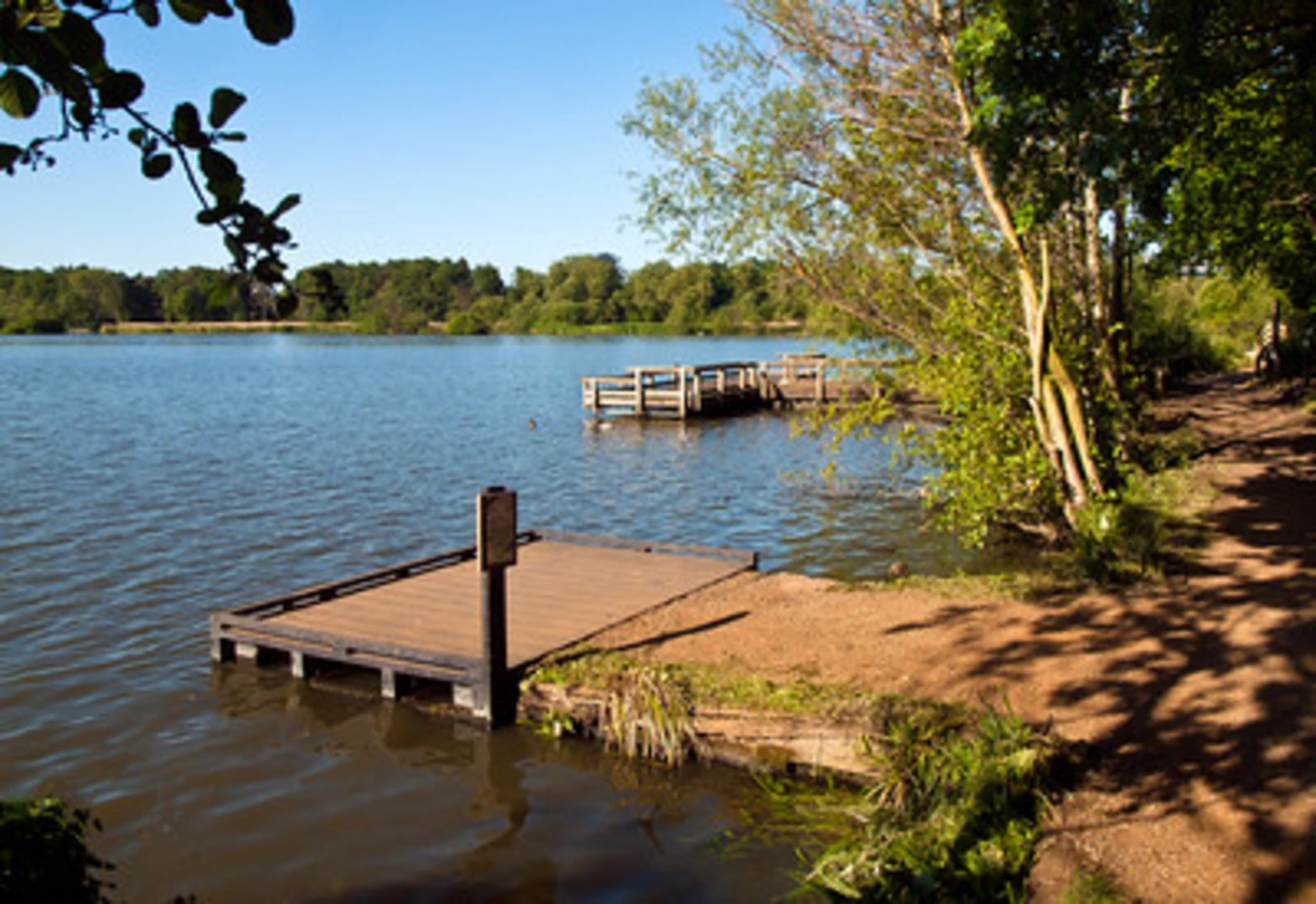 An image depicting the trail Fleet Pond Loop and its surrounding area.