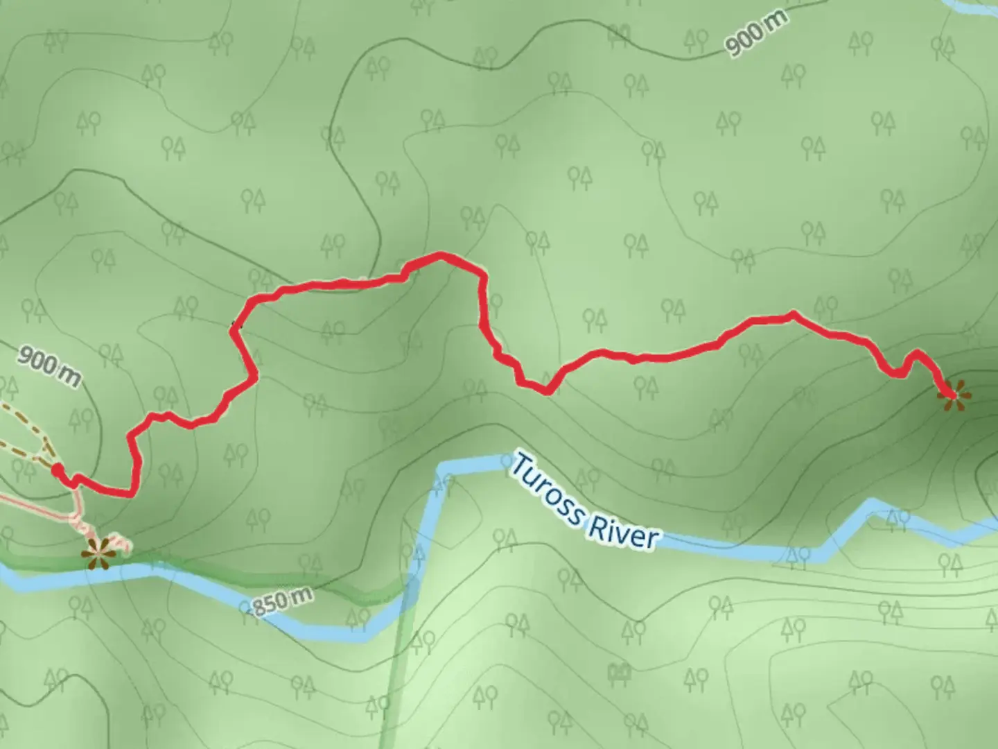 An image depicting the trail Tuross Falls Track and its surrounding area.