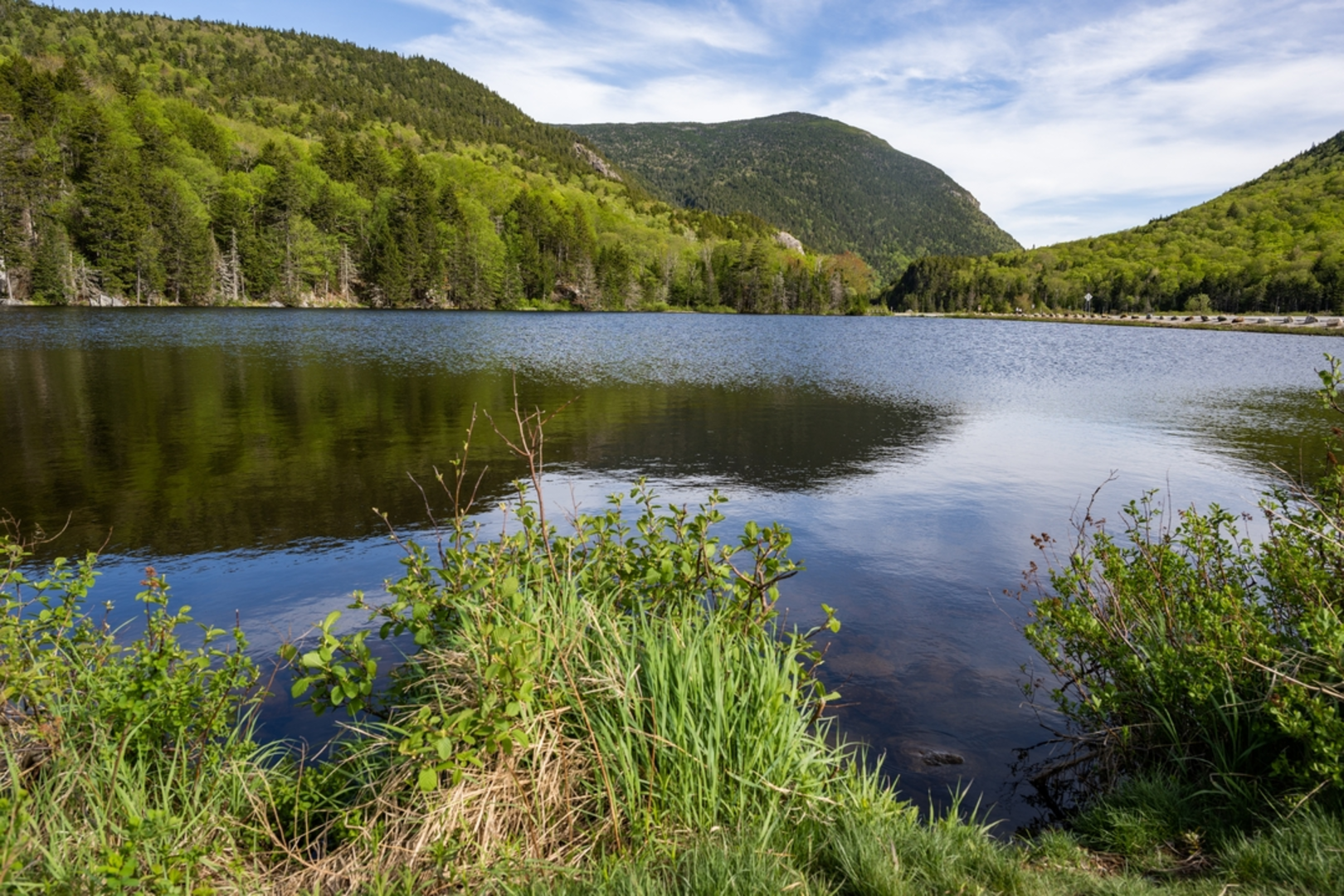 An image depicting the trail Mount Zealand - Mount Guyot - Bondcliff from Saco Lake and its surrounding area.