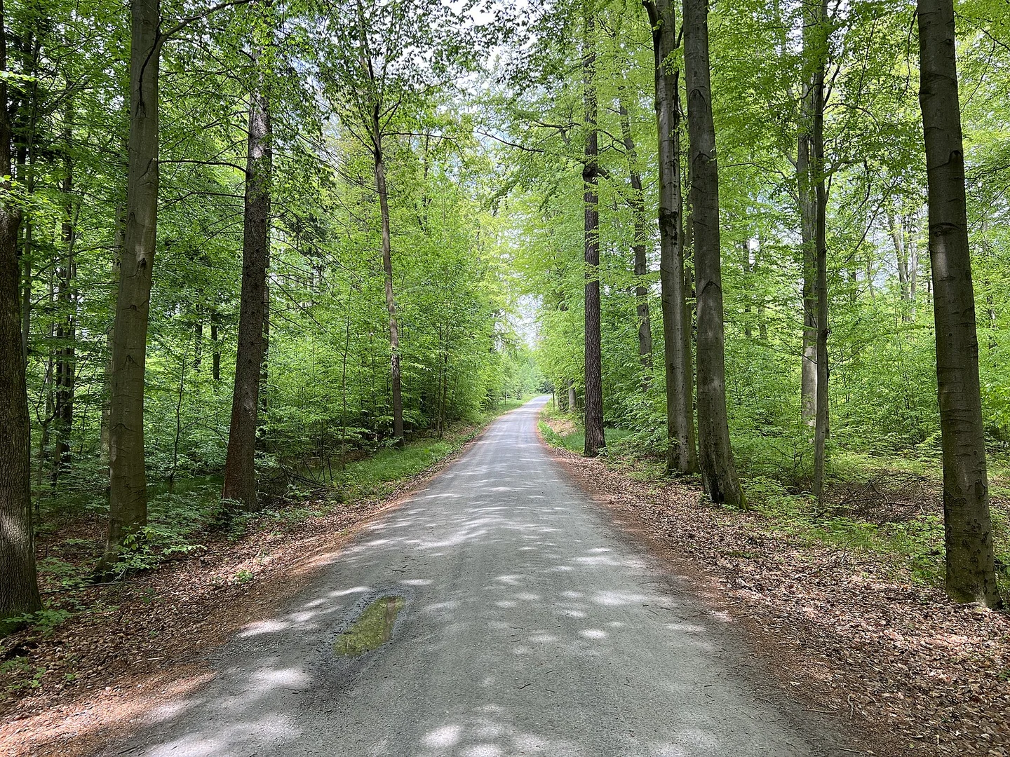 An image depicting the trail Zeigefinger and Thummelgrotte Loop and its surrounding area.