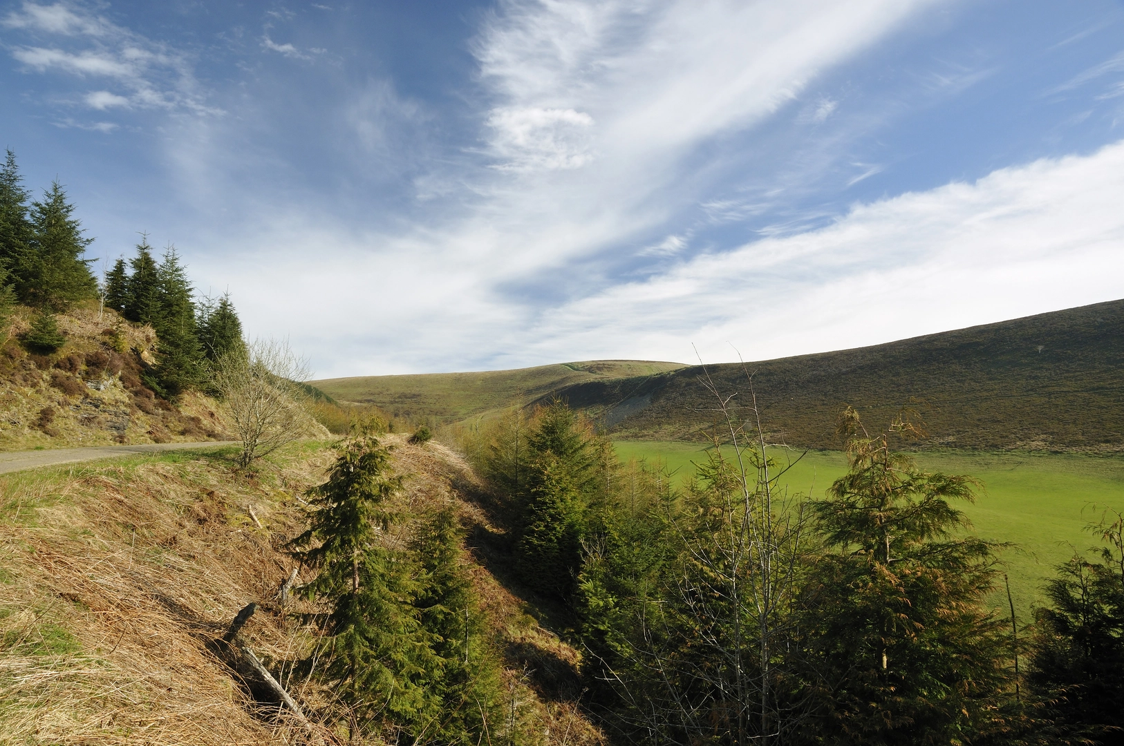 An image depicting the trail Great Rhos and The Radnor Forest from New Radnor and its surrounding area.