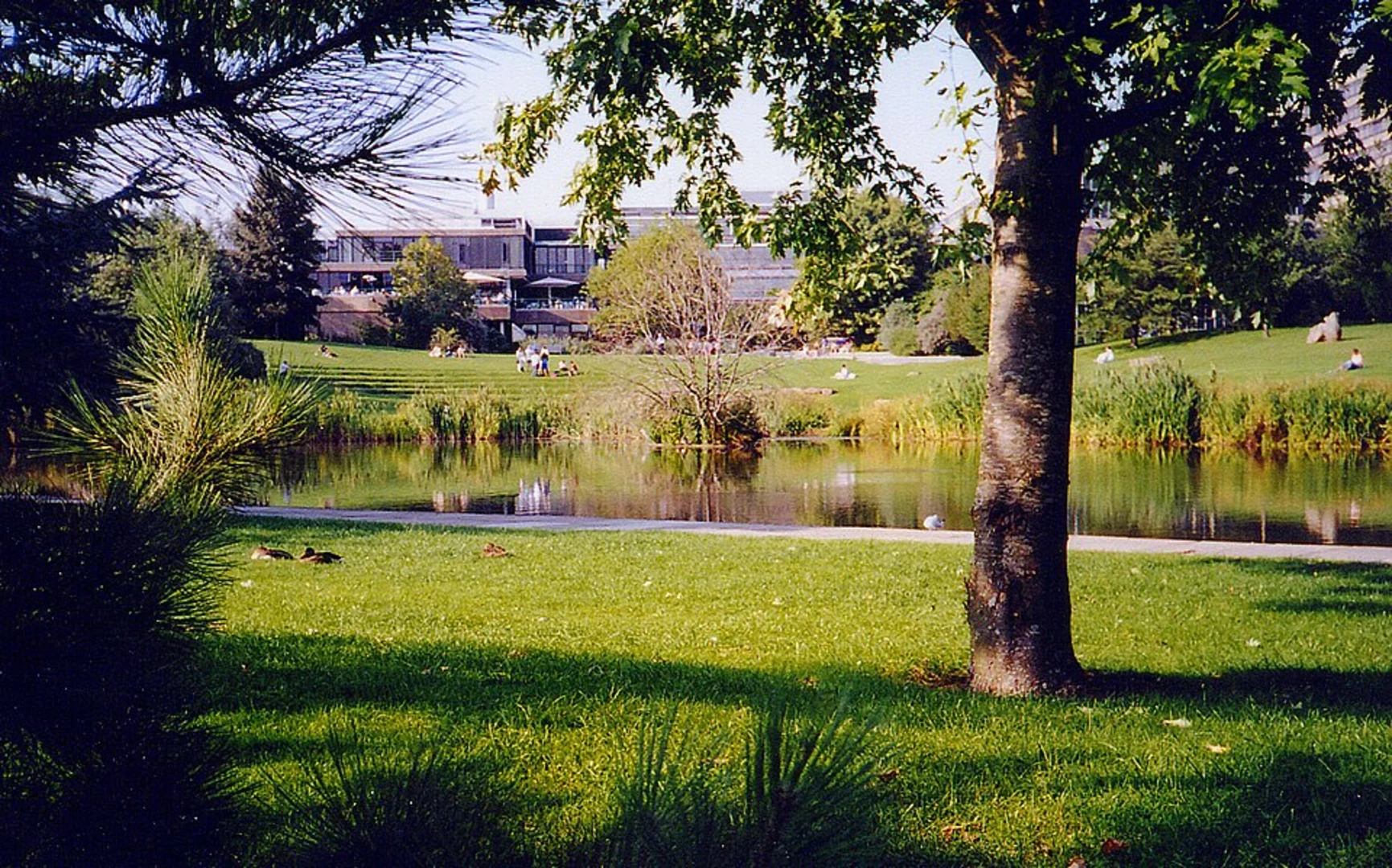 An image depicting the trail Larch Wood, Freefields Wood and Rainbow Wood Loop and its surrounding area.