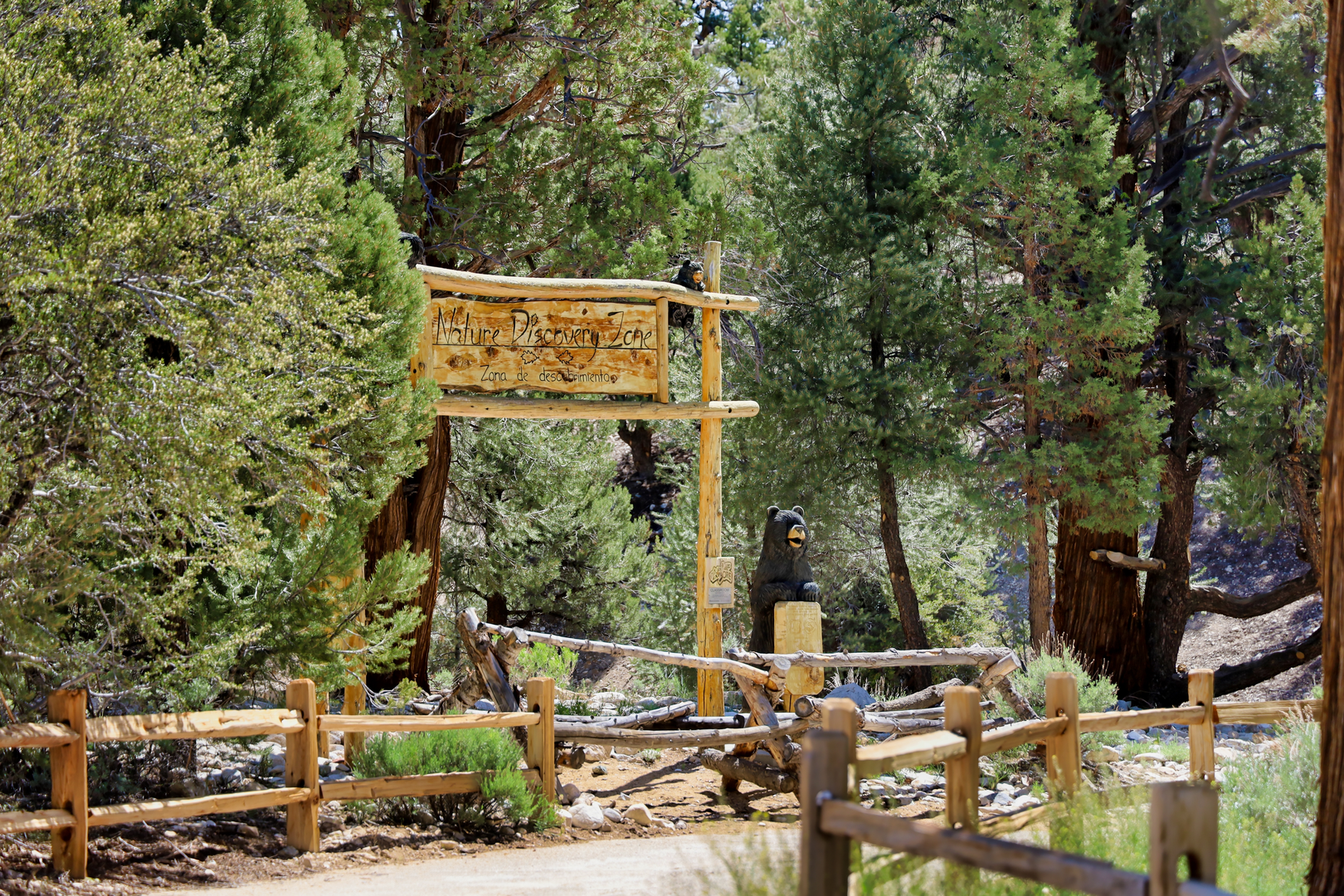 An image depicting the trail Earthquake Trail and its surrounding area.