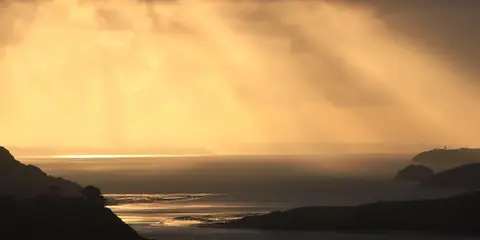 An image depicting the trail Atiu Creek Regional Park Walk and its surrounding area.
