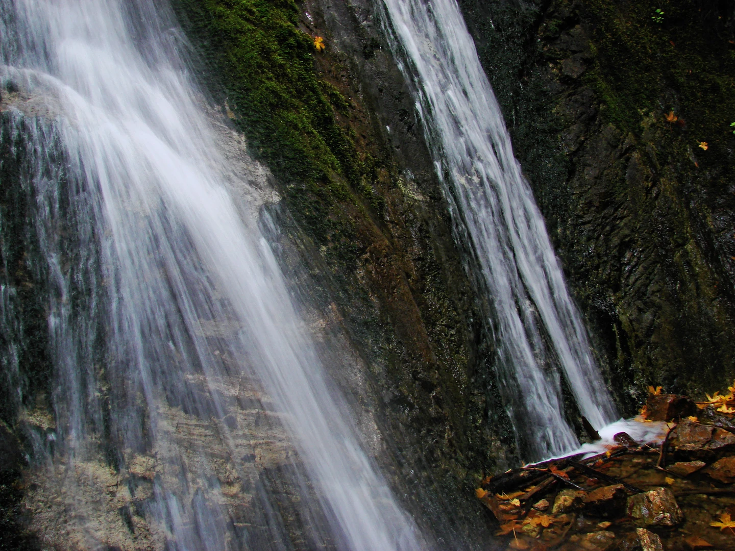 An image depicting the trail Pfeiffer Falls Loop Trail and its surrounding area.