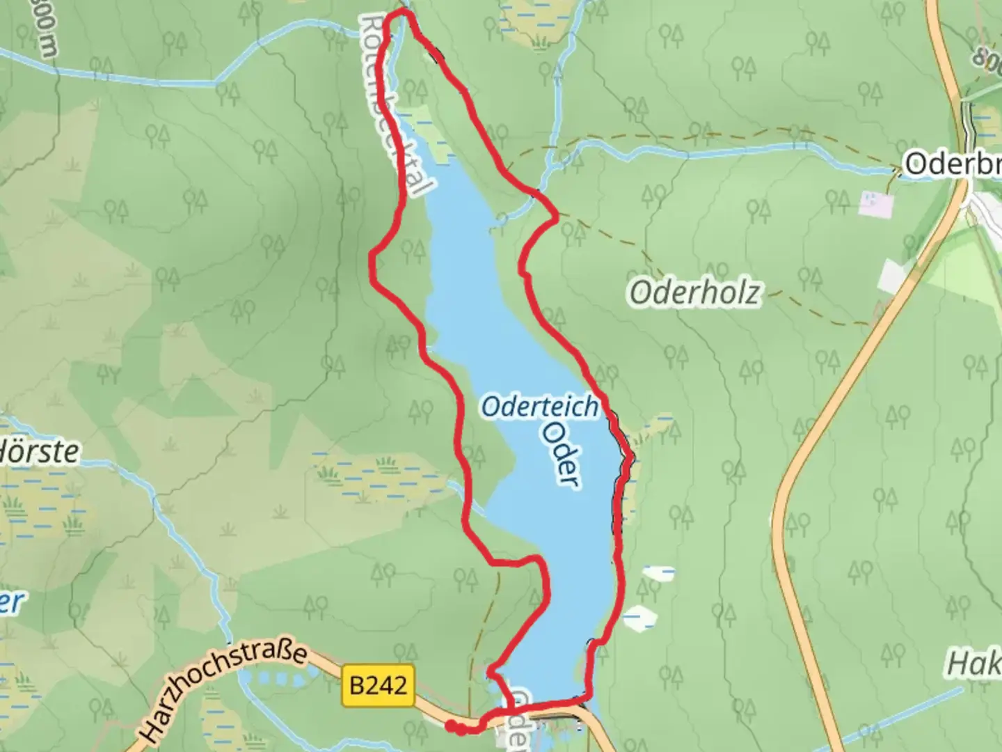 An image depicting the trail Oderteich Loop and its surrounding area.