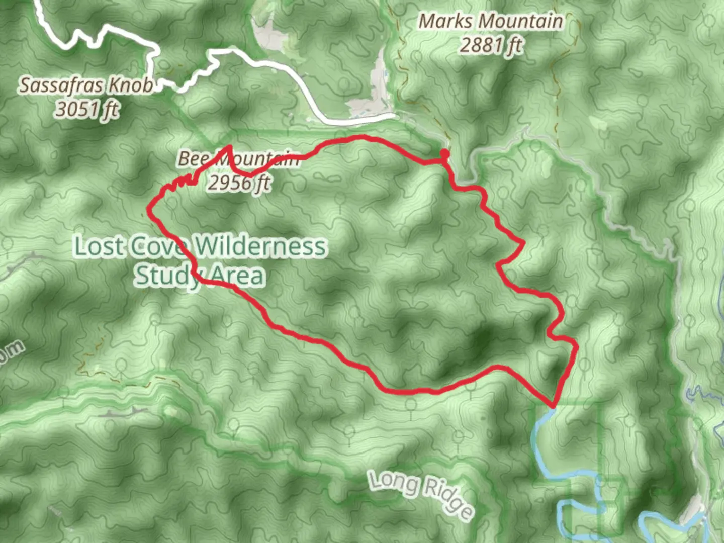 An image depicting the trail Lost Cove Loop Trail and its surrounding area.