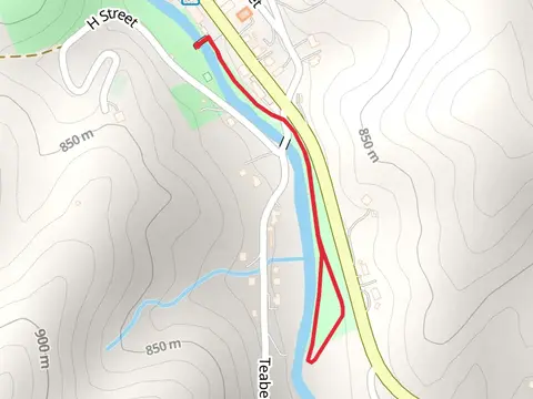 Teaberry Road via Big Horse Creek