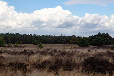 Voorbeeklaan, Somerenseweg and Herselseweg Loop
