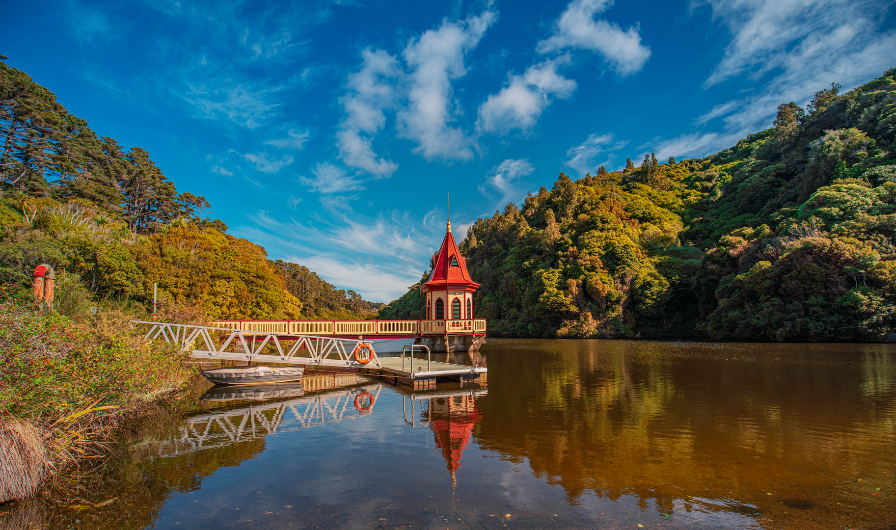An image depicting the trail Zealandia Wildlife Sanctuary Walk and its surrounding area.