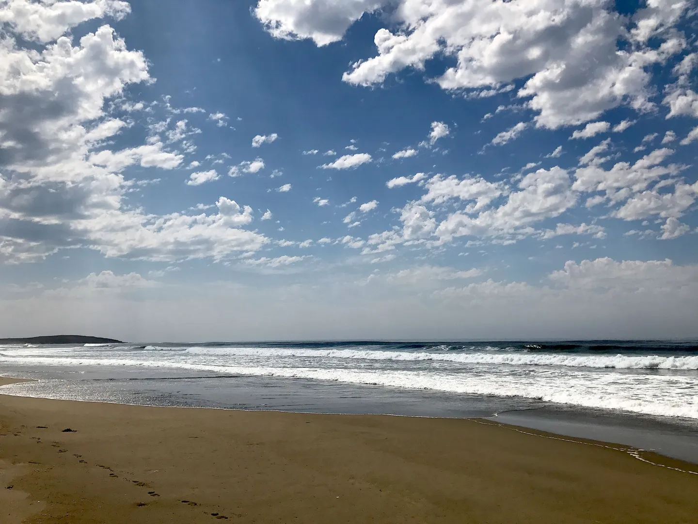 An image depicting the trail Chanslor Ranch and its surrounding area.