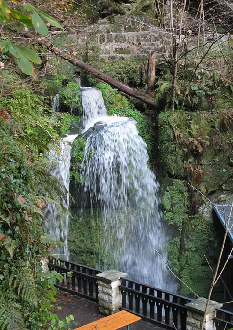 An image depicting the trail Amselsee and Amselfall Loop via Malerweg and Gelber Strich and its surrounding area.